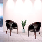 Two dark brown armchairs with a potted plant in an office setting.