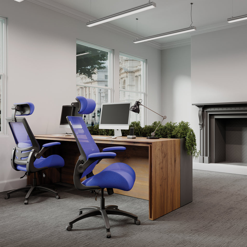 Modern office setup with wooden desk, computer monitors, and blue ergonomic chairs.