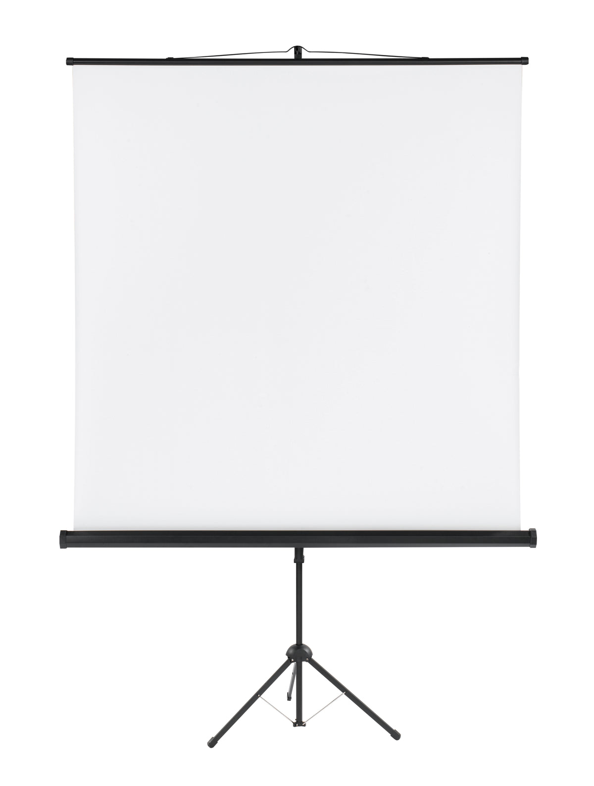 White projection screen on a black tripod stand against a white background