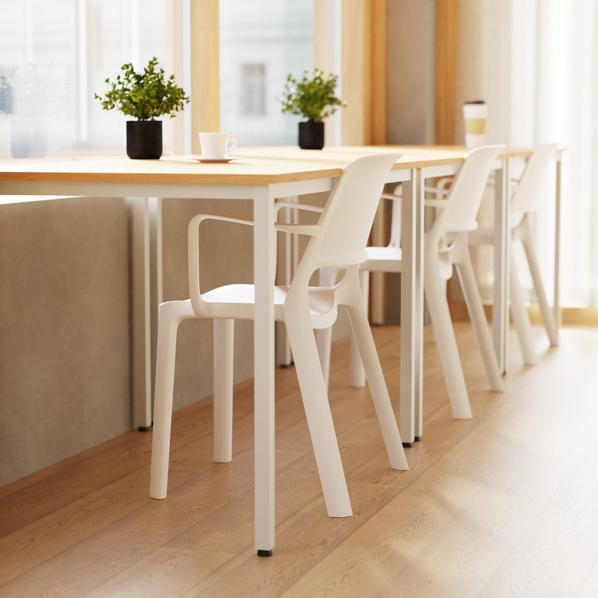 A set of modern white dining chairs with light wood tops arranged along matching tables in a bright, sunlit room with light wood floors.