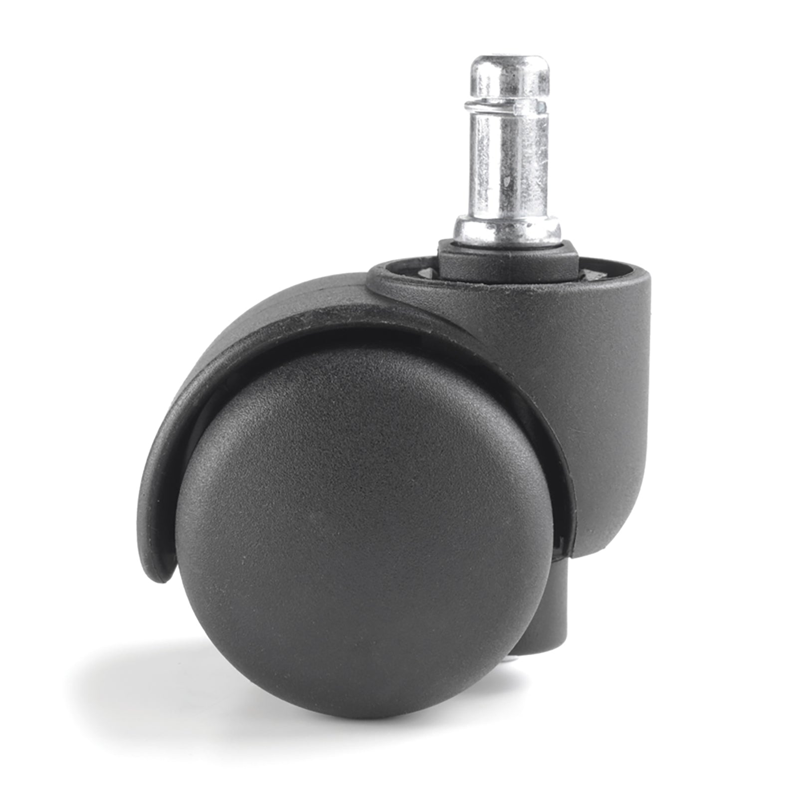 Black castor on a white background