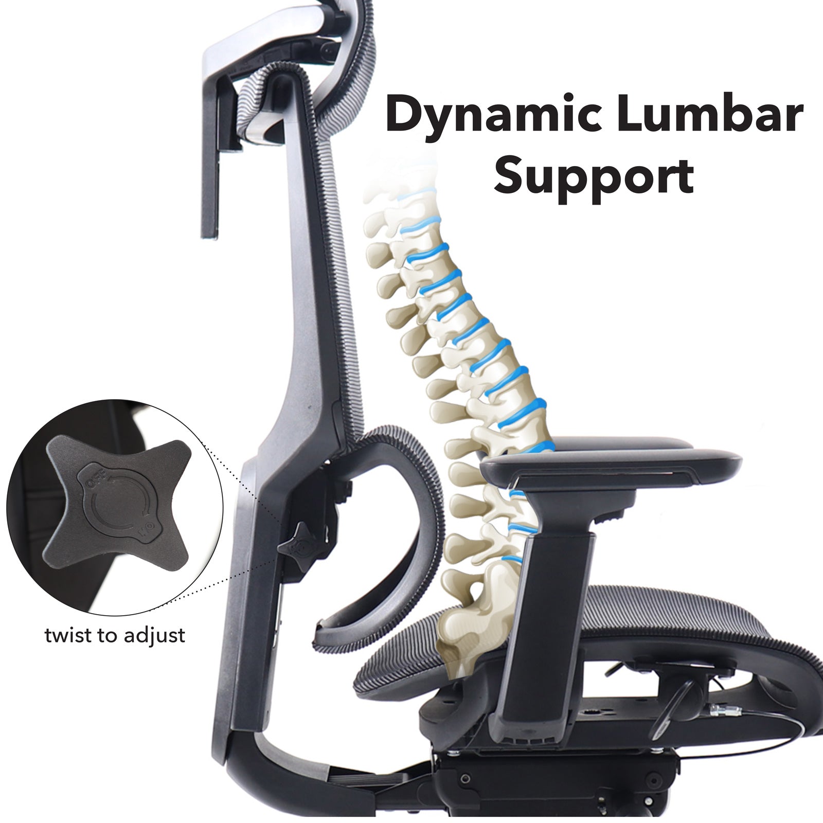 Chair with dynamic lumbar support feature, showing spinal illustration and adjustment knob.