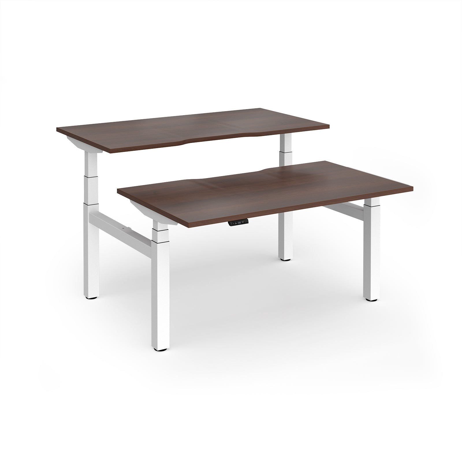Two back-to-back height adjustable desks with shared white metal frame and wood-effect tops on a white background