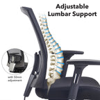 Office chair with adjustable lumbar support feature, showing spine illustration and adjustment mechanism.