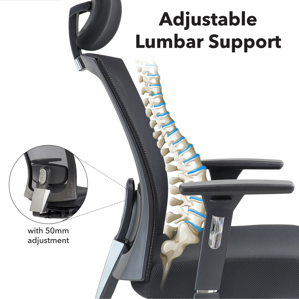 Chair with adjustable lumbar support feature, showing spine illustration and 50mm adjustment detail.