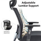 Chair with adjustable lumbar support feature, showing spine illustration and 50mm adjustment detail.
