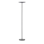 Black floor lamp on a white background