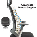Close up of a chair with adjustable lumbar support on a white background