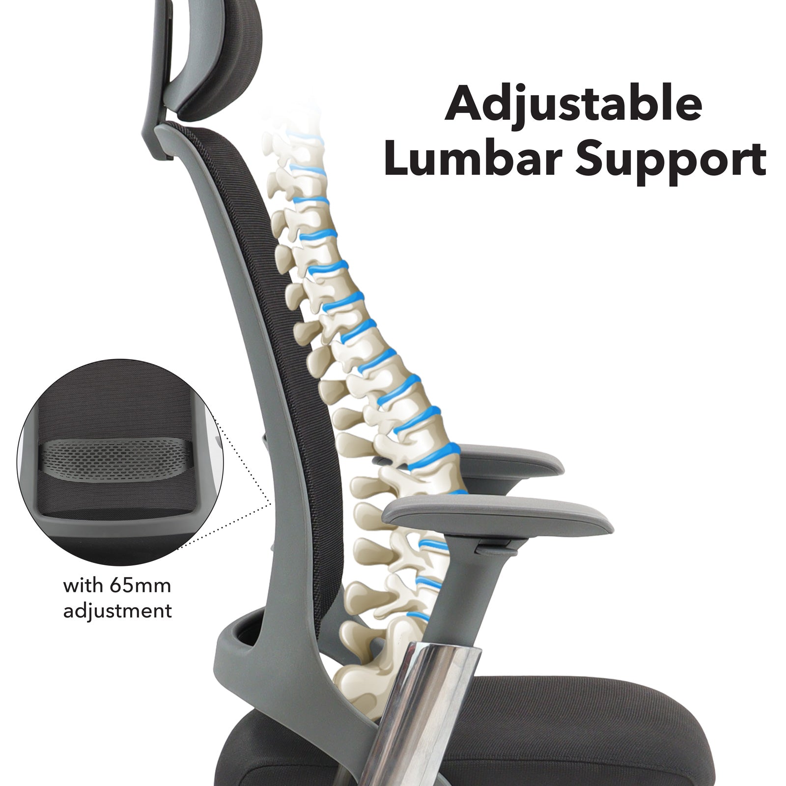 Close up of a chair with adjustable lumbar support on a white background