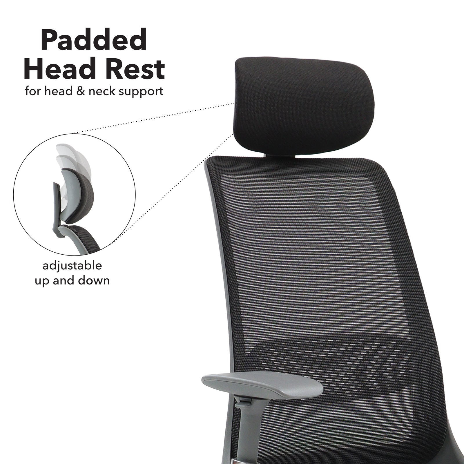 Close up of a chair with padded head rest on a white background
