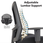 Chair with adjustable lumbar support feature, showing spine illustration for ergonomic emphasis.