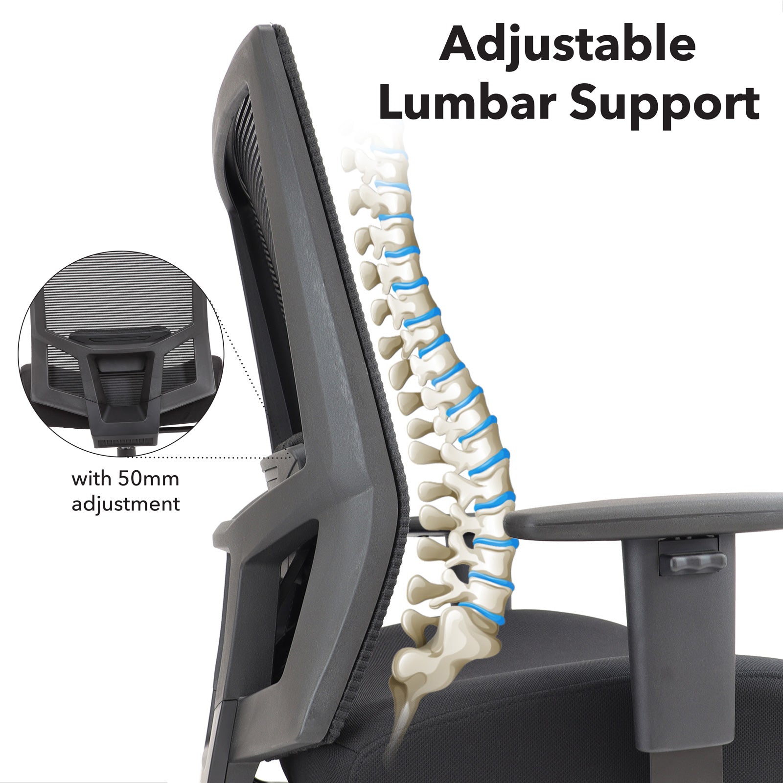 Chair with adjustable lumbar support feature, showing spine illustration for ergonomic emphasis.