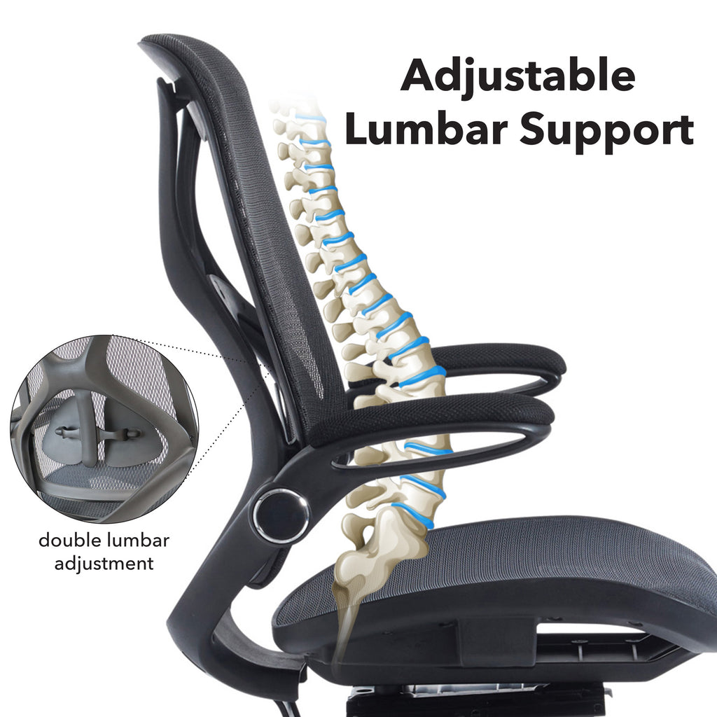 Ergonomic office chair with adjustable lumbar support and spinal illustration.