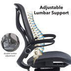 Ergonomic office chair with adjustable lumbar support and spinal illustration.