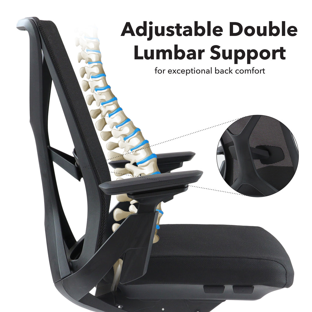 Chair with adjustable double lumbar support feature, showing a diagram of a spine.