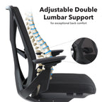 Chair with adjustable double lumbar support feature, showing a diagram of a spine.