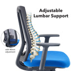 Ergonomic chair with adjustable lumbar support and spinal illustration on a white background