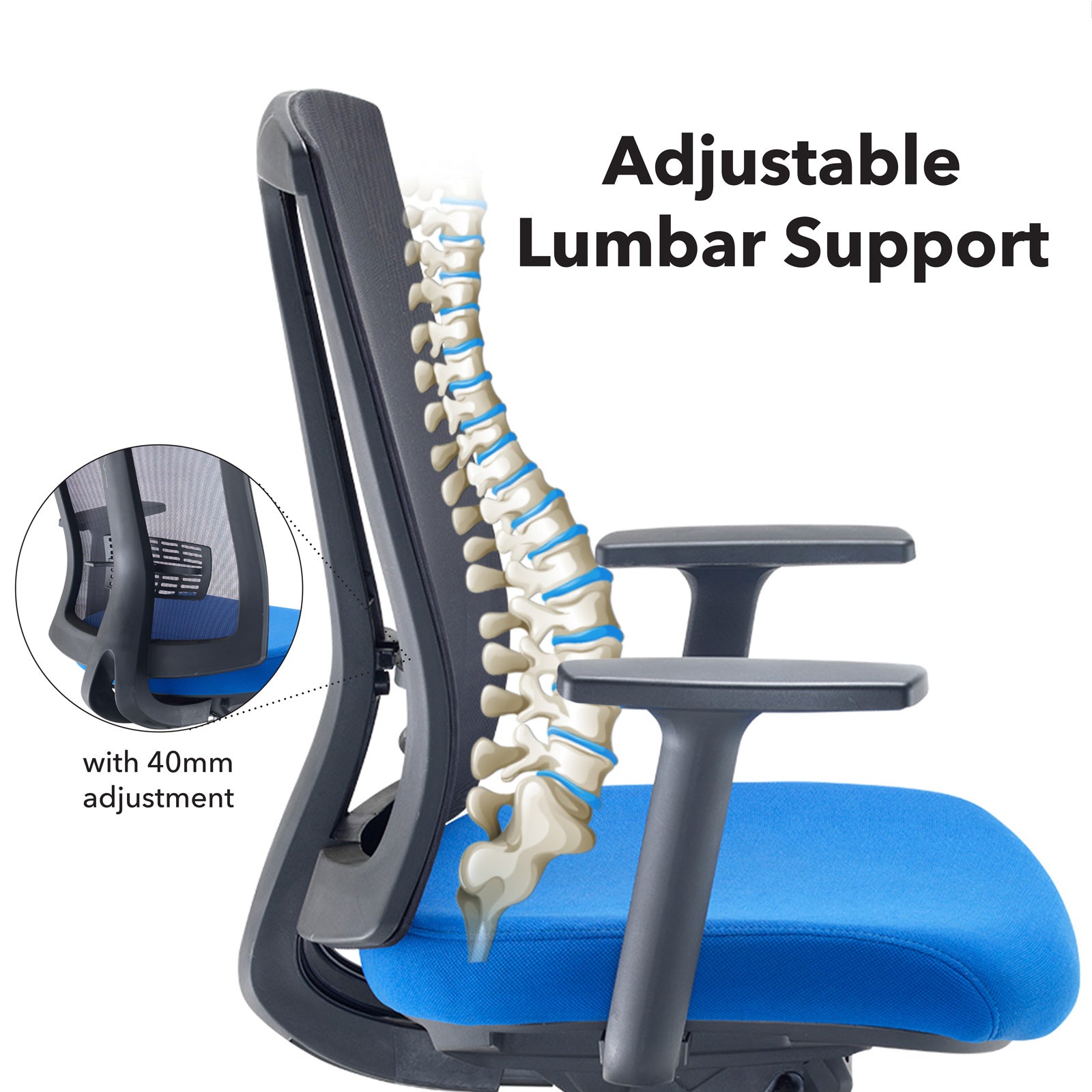 Ergonomic chair with adjustable lumbar support and spinal illustration on a white background