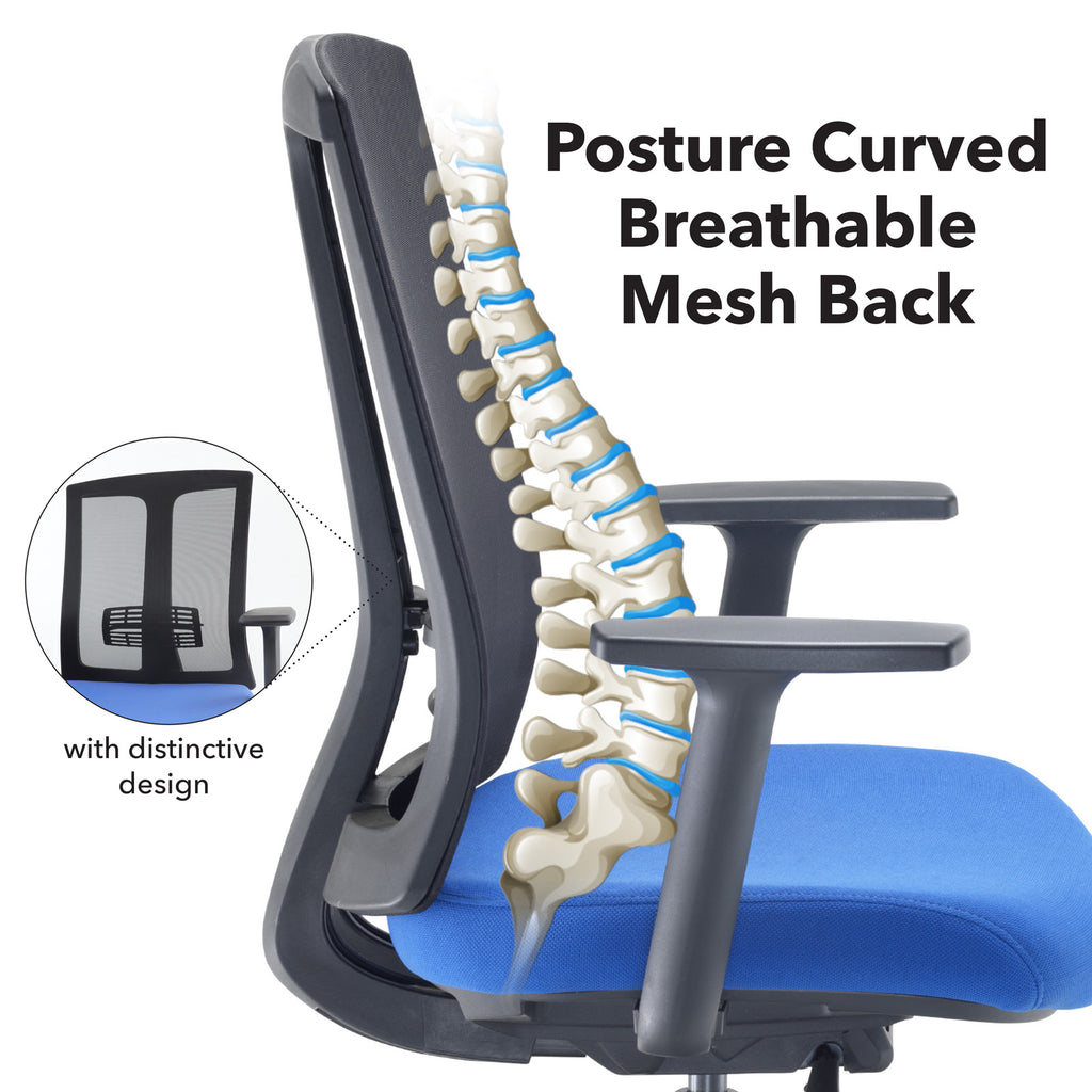 Blue office chair with breathable mesh back and spinal illustration, highlighting ergonomic design.