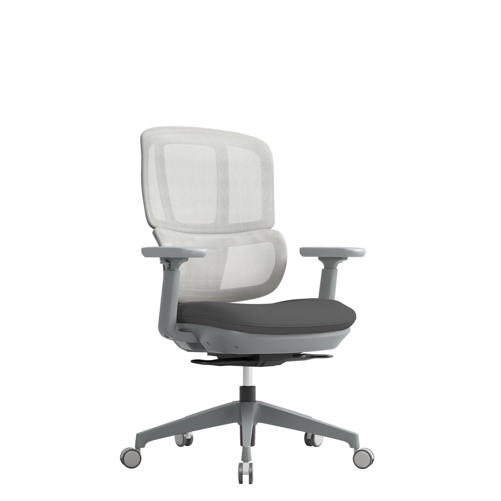 Grey ergonomic office chair with mesh backrest, cushioned seat, adjustable armrests, and five-star base with castor wheels.