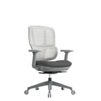 Grey ergonomic office chair with mesh backrest, cushioned seat, adjustable armrests, and five-star base with castor wheels.