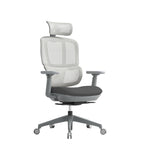 Grey mesh ergonomic office chair with headrest, adjustable armrests, cushioned seat, and five-star base on castor wheels.
