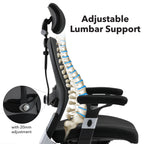 Ergonomic chair with adjustable lumbar support and spinal illustration on a white background