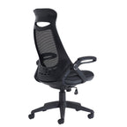 Black mesh ergonomic office chair with a breathable backrest, padded seat, adjustable armrests, and a five-star wheeled base, shown on a white background.