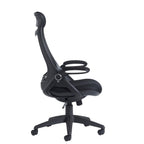 Black mesh ergonomic office chair with a breathable backrest, padded seat, adjustable armrests, and a five-star wheeled base, shown on a white background.