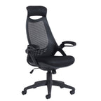 Black mesh ergonomic office chair with a breathable backrest, padded seat, adjustable armrests, and a five-star wheeled base, shown on a white background.