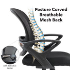Black office chair with breathable mesh back and spinal illustration on a white background