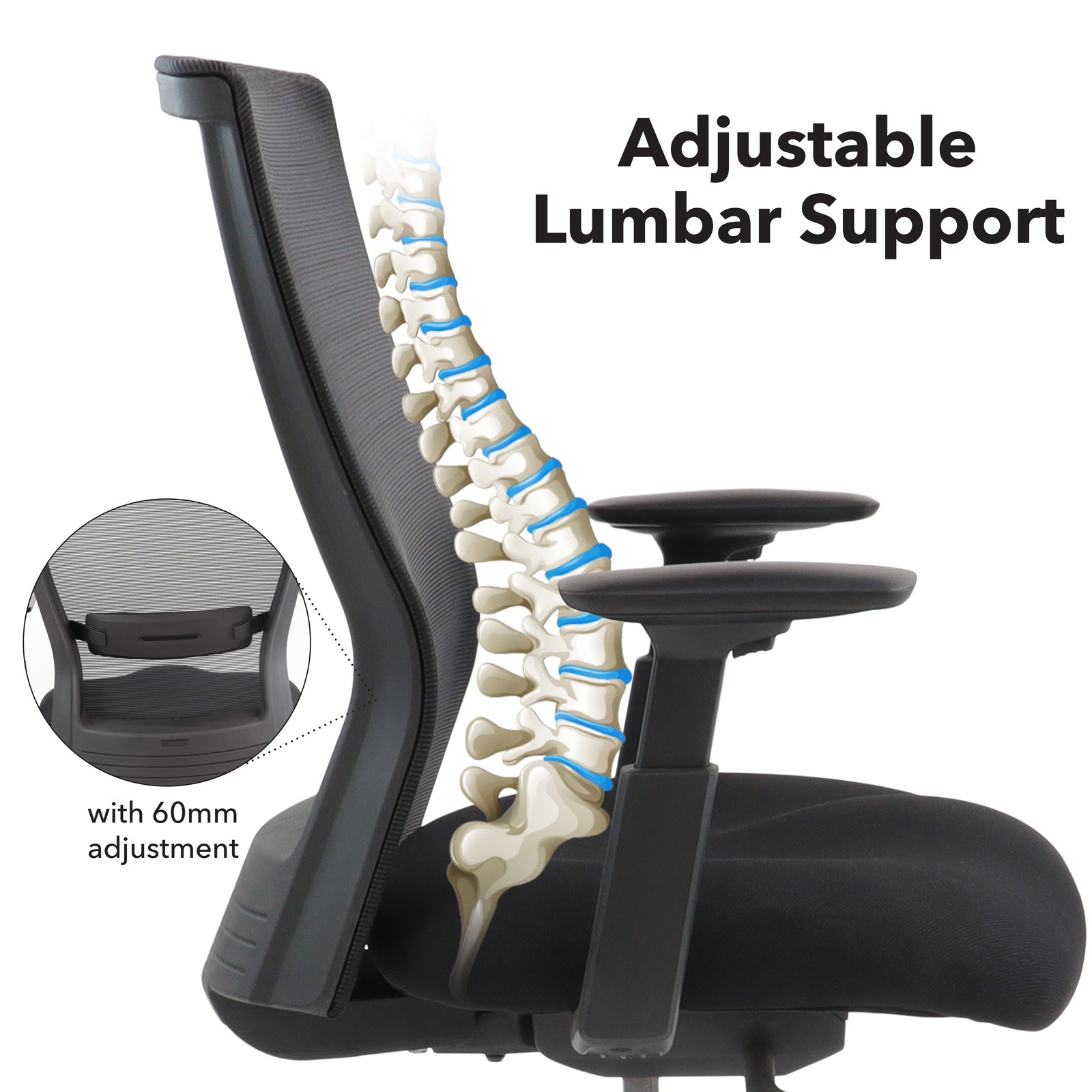 Office chair with adjustable lumbar support and spinal illustration on a white background